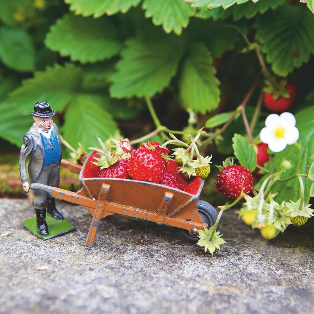 Britains Garden, Dinky, Models, Games