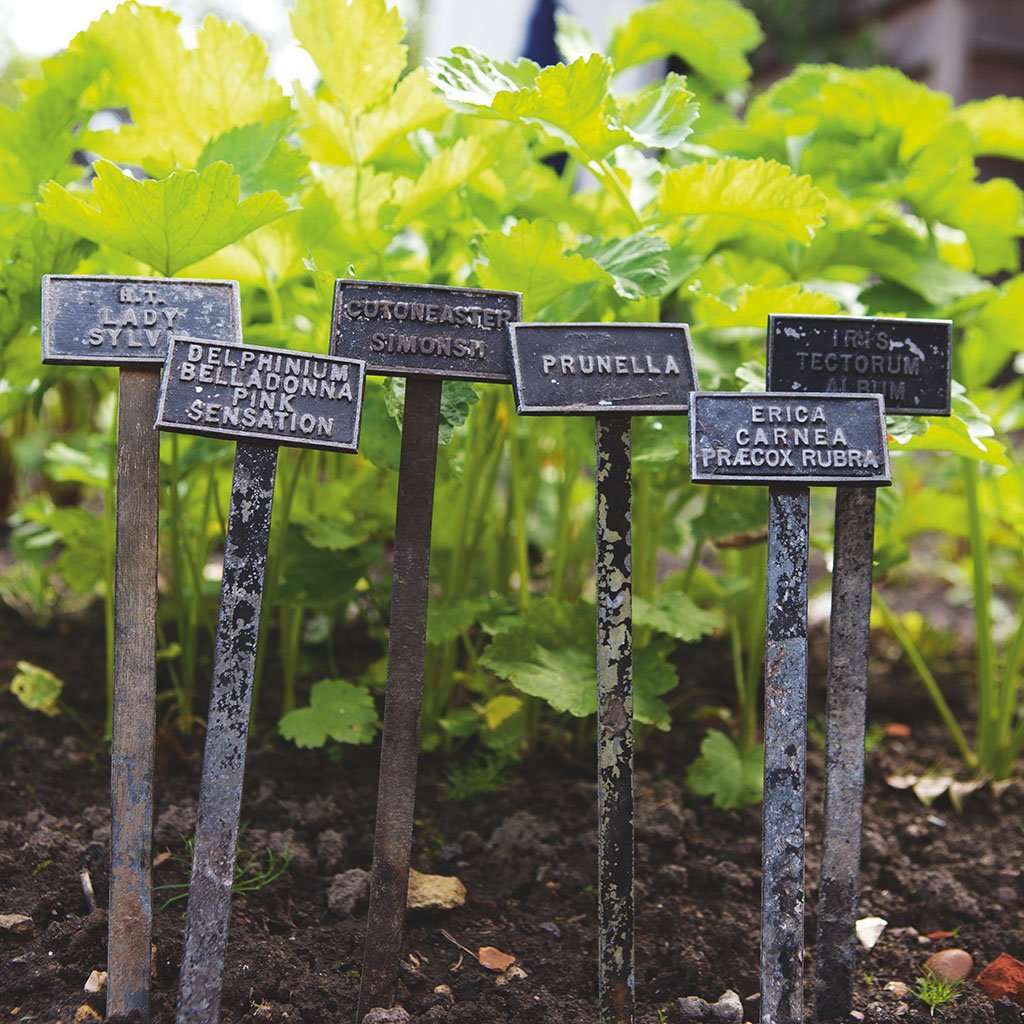 Vintage Plant Labels