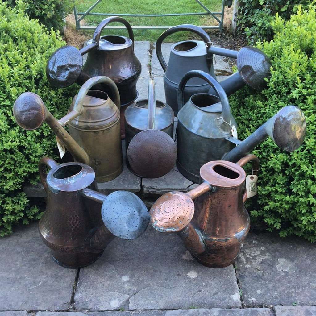 Vintage Watering Cans