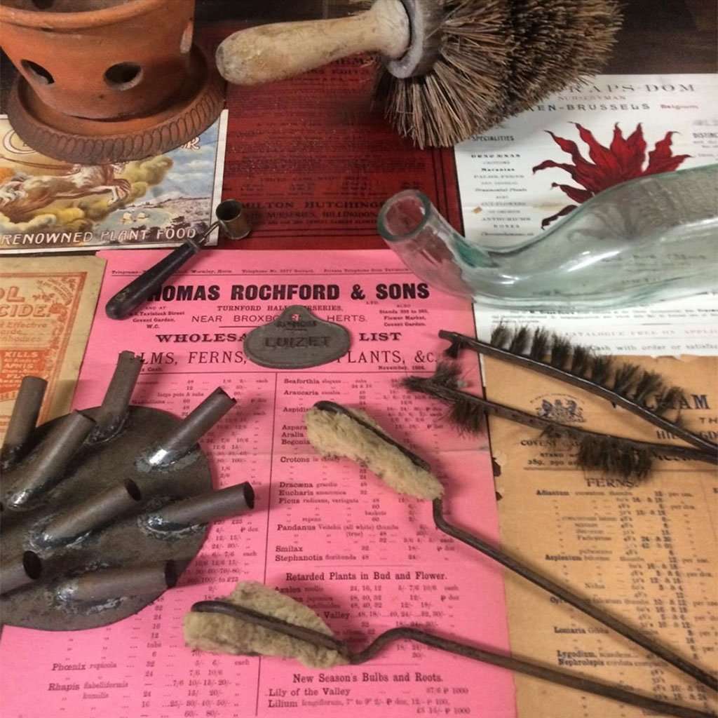 Unusual Gardening Items
