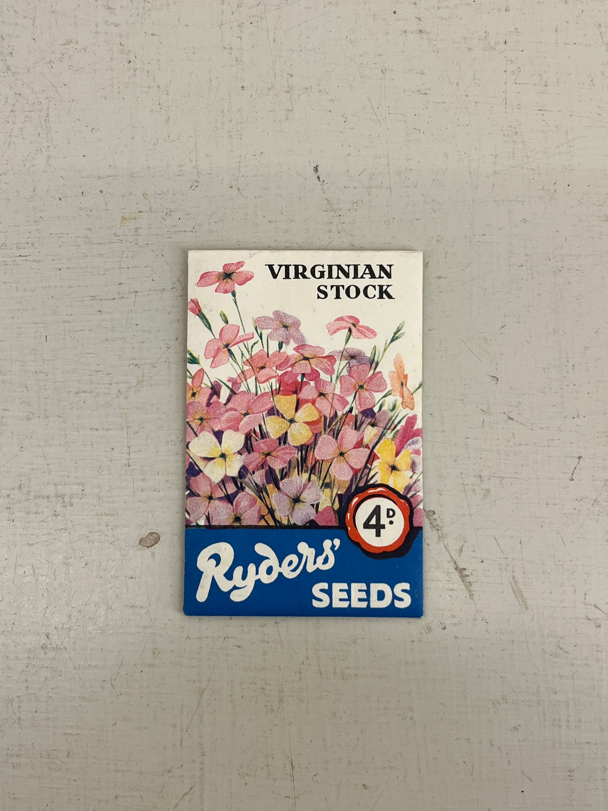 Ryders Seeds Virginian Stock