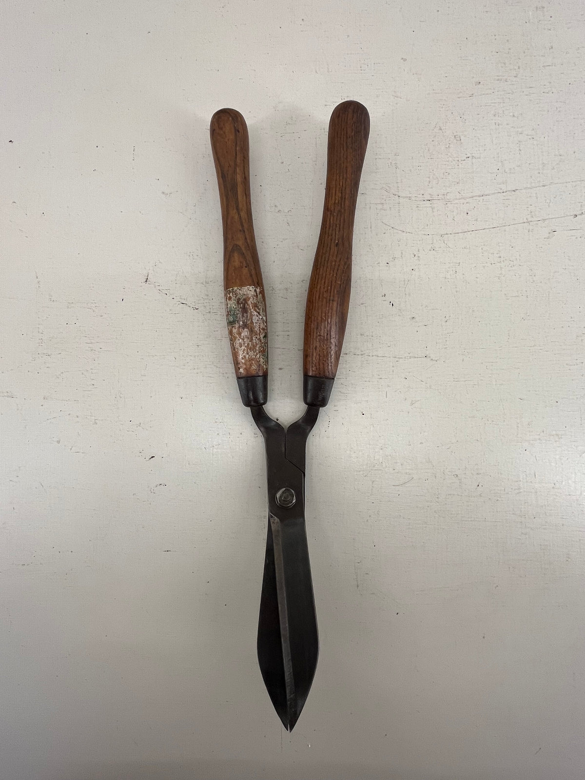 Brades Small Shears