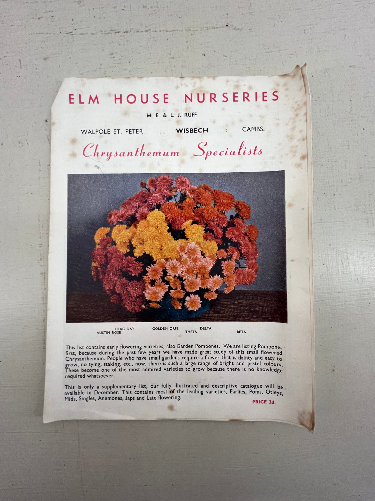 Elm House Chrysanthemum Catalogue, 1960s