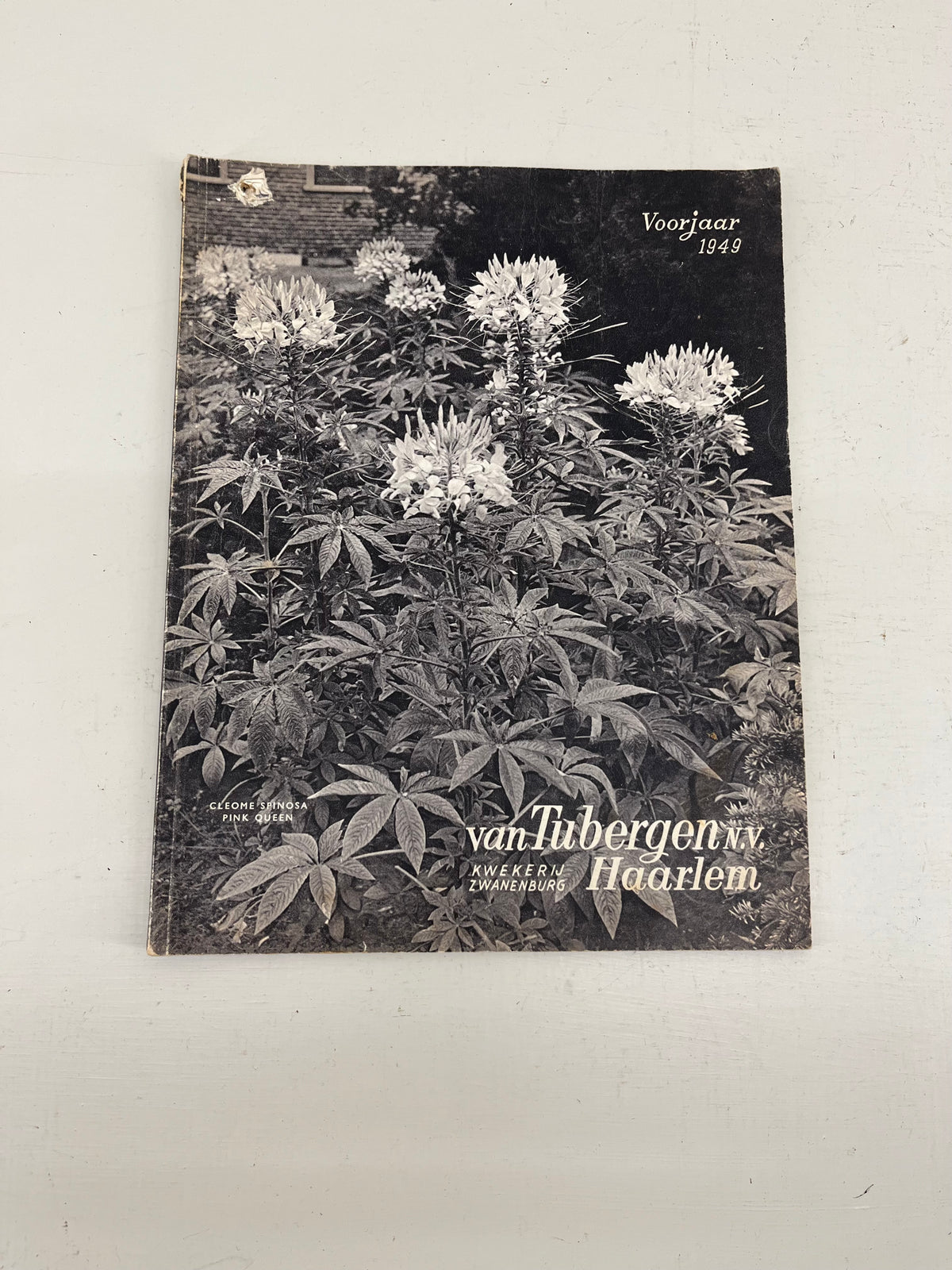 Van Tubergen Bulb  Catalogue, 1949