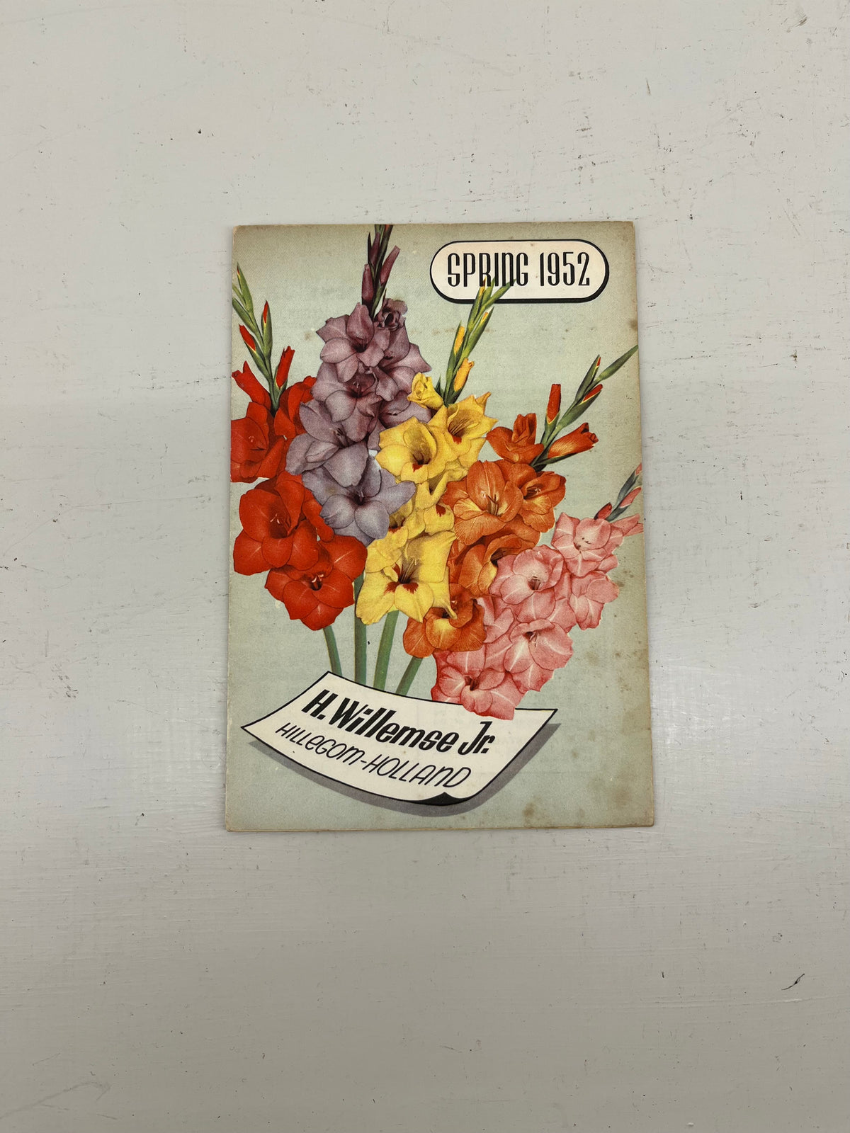 H Willemse Jr Bulb  Catalogue, 1952