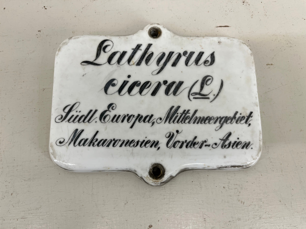 Large Ceramic Plant Labels
