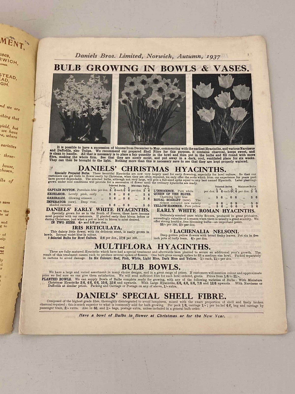 Daniel Bros Seed Catalogue