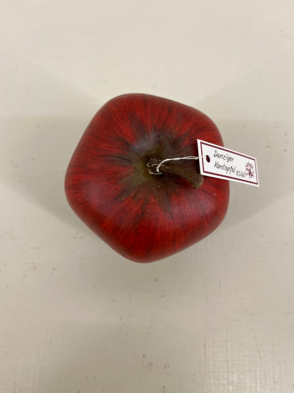 Somso Model Apples