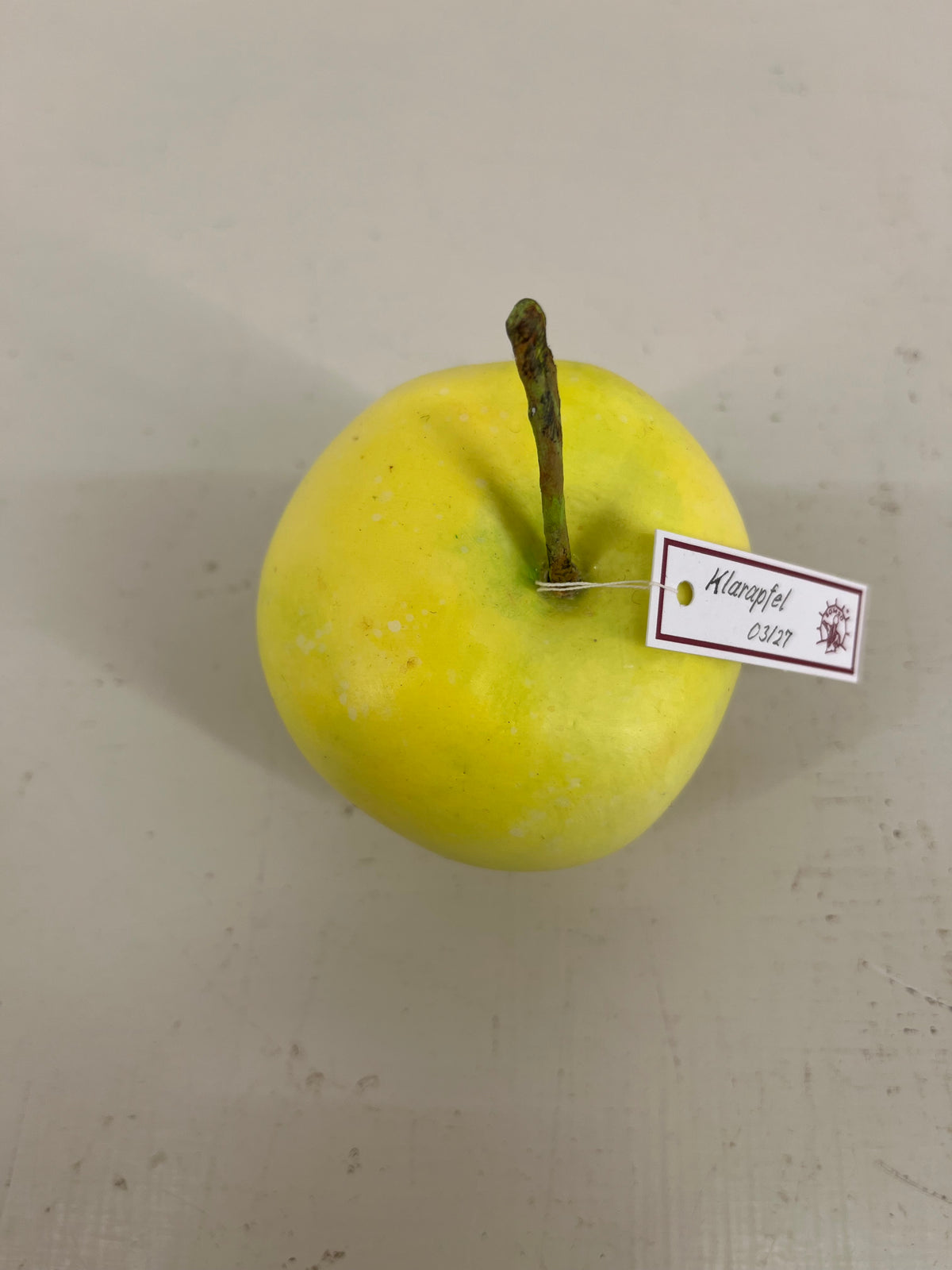Somso Model Apples