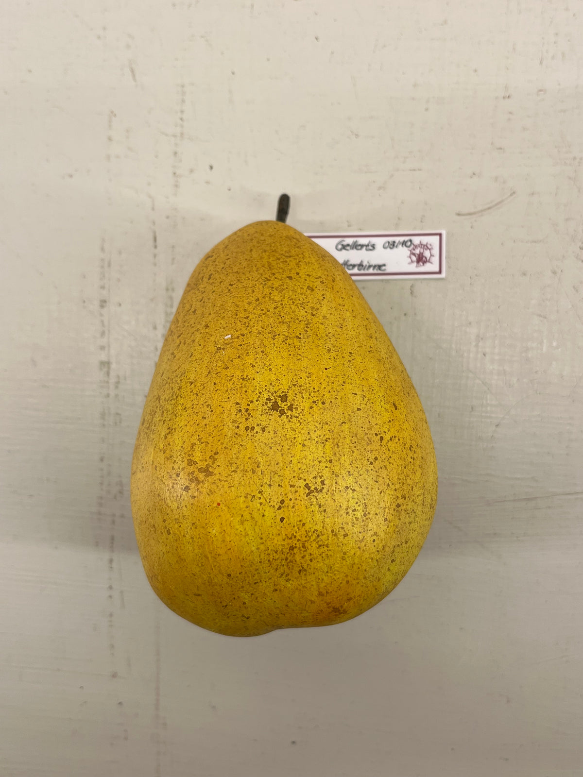 Somso Model Pear