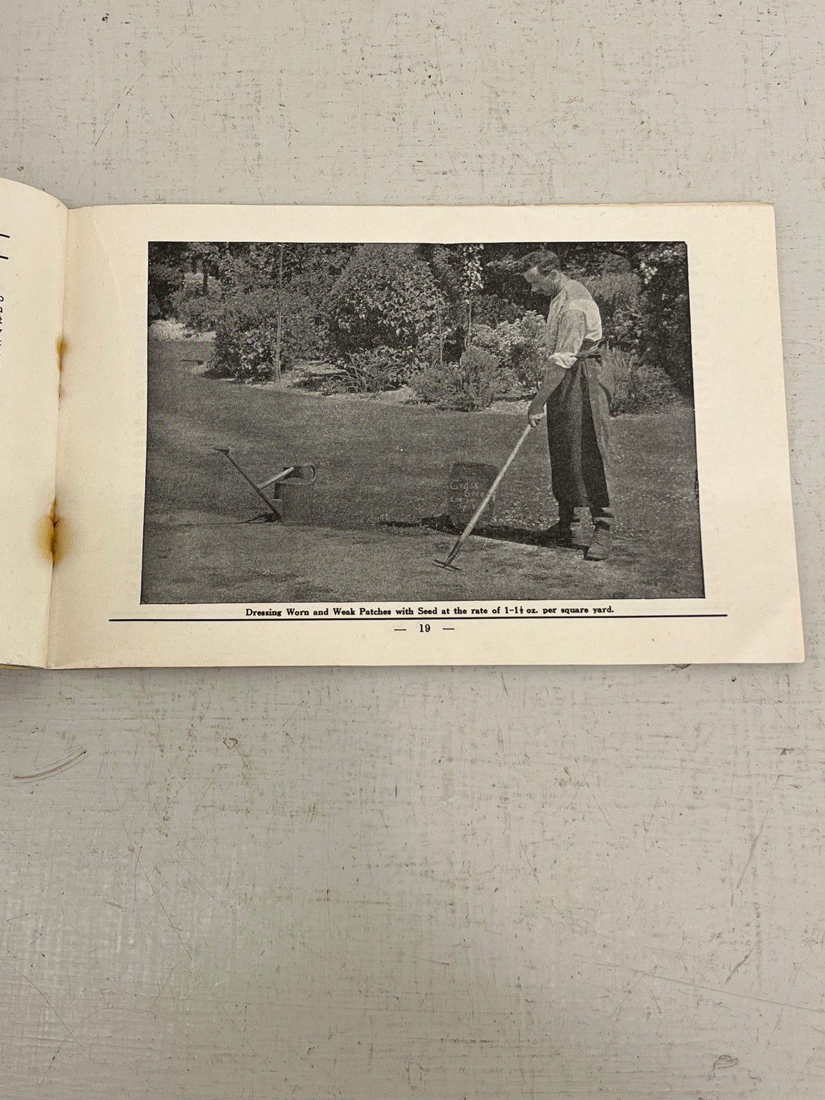Knights Lawn Seed Catalogue