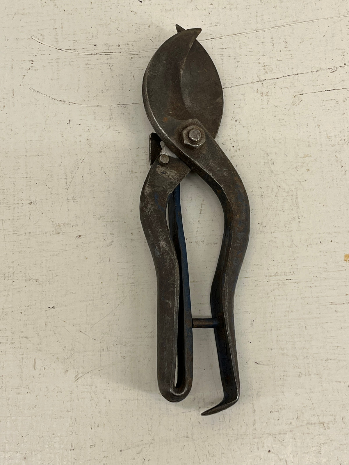 Skelton Aubert's Secateurs