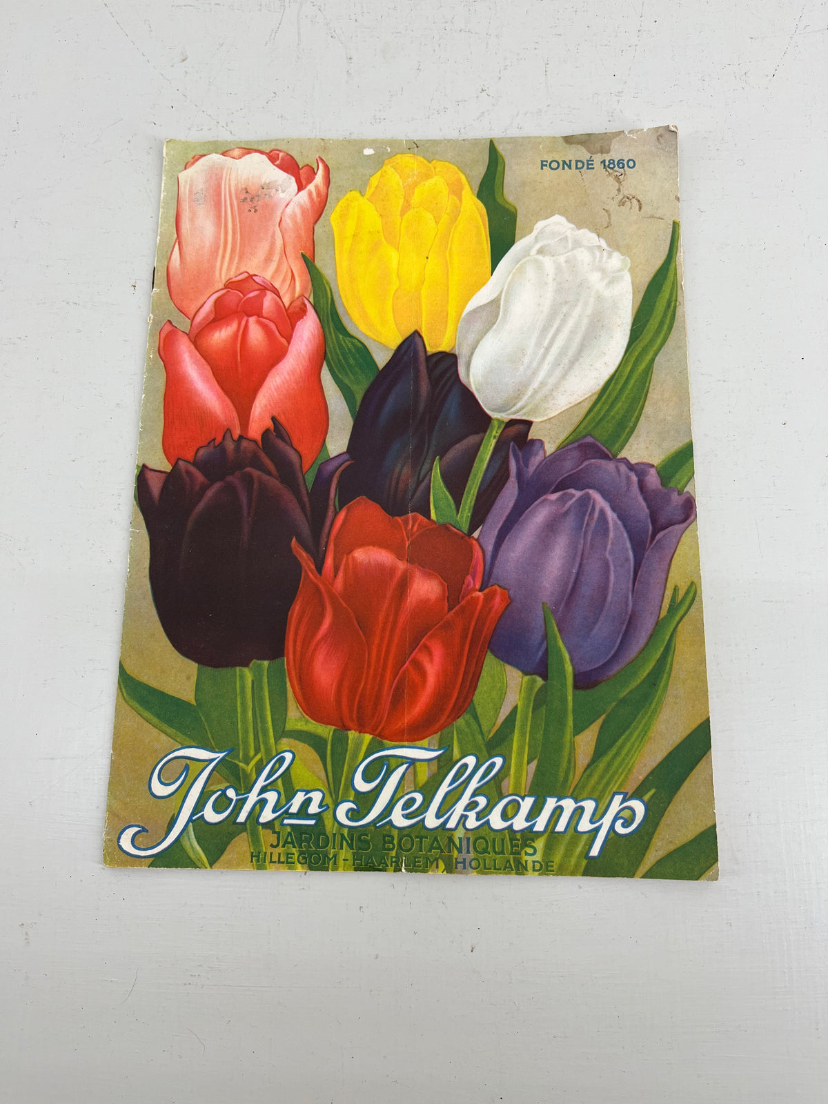 John Telkamp Bulb Catalogue