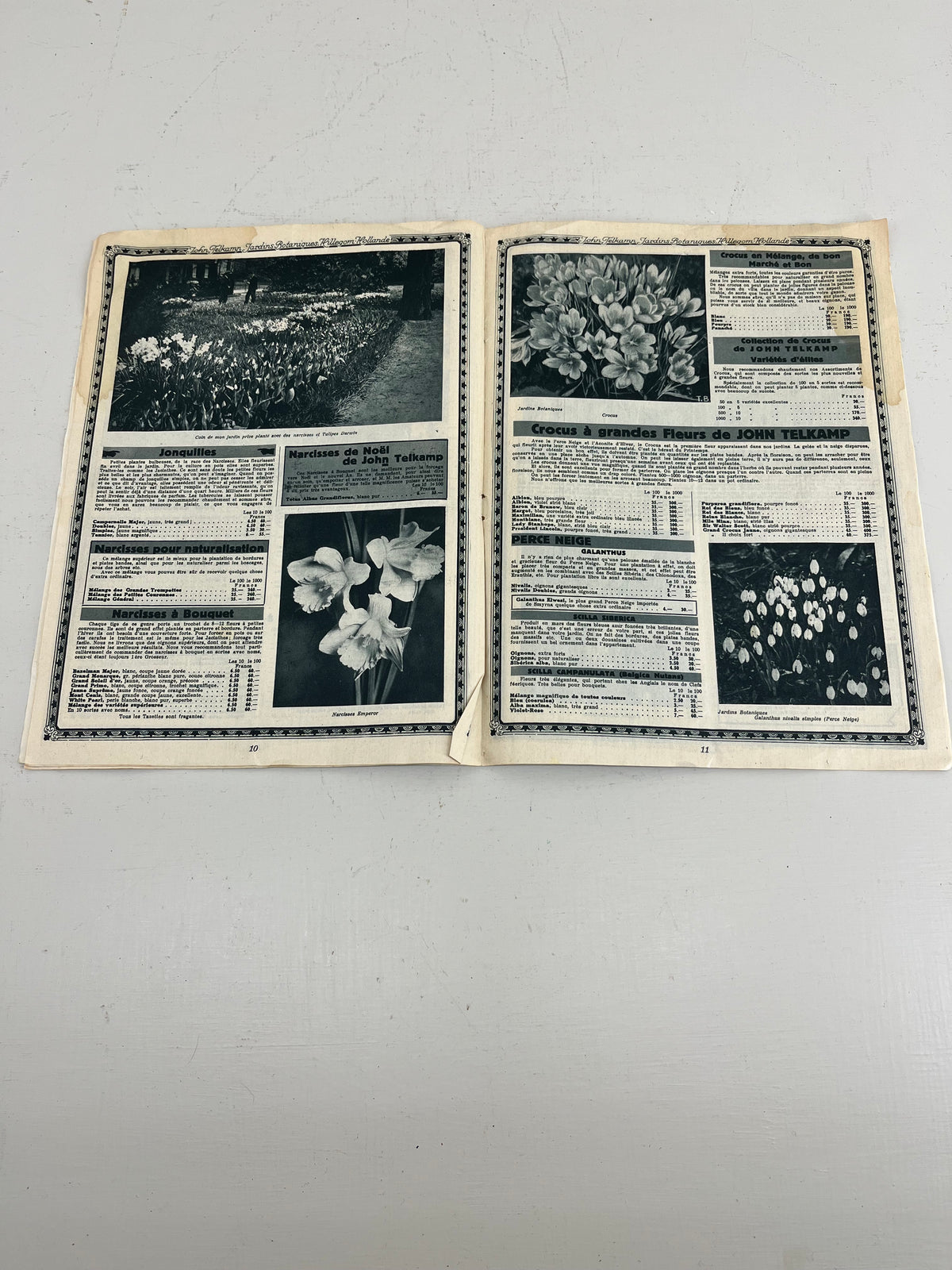 John Telkamp Bulb Catalogue