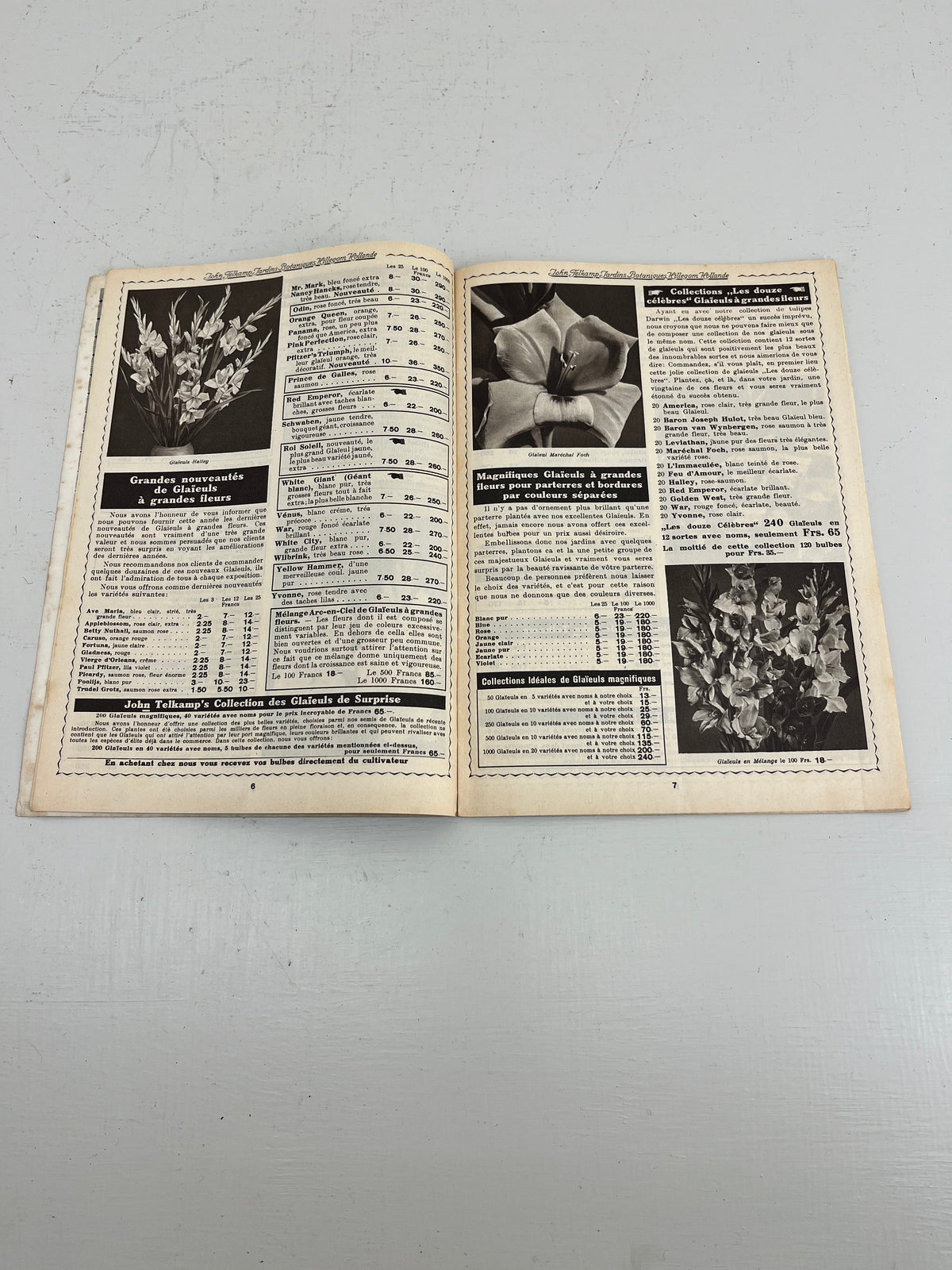 John Telkamp Bulb Catalogue